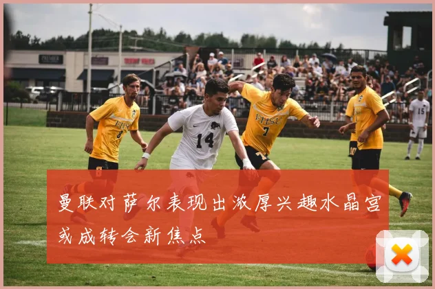 曼联对萨尔表现出浓厚兴趣水晶宫或成转会新焦点
